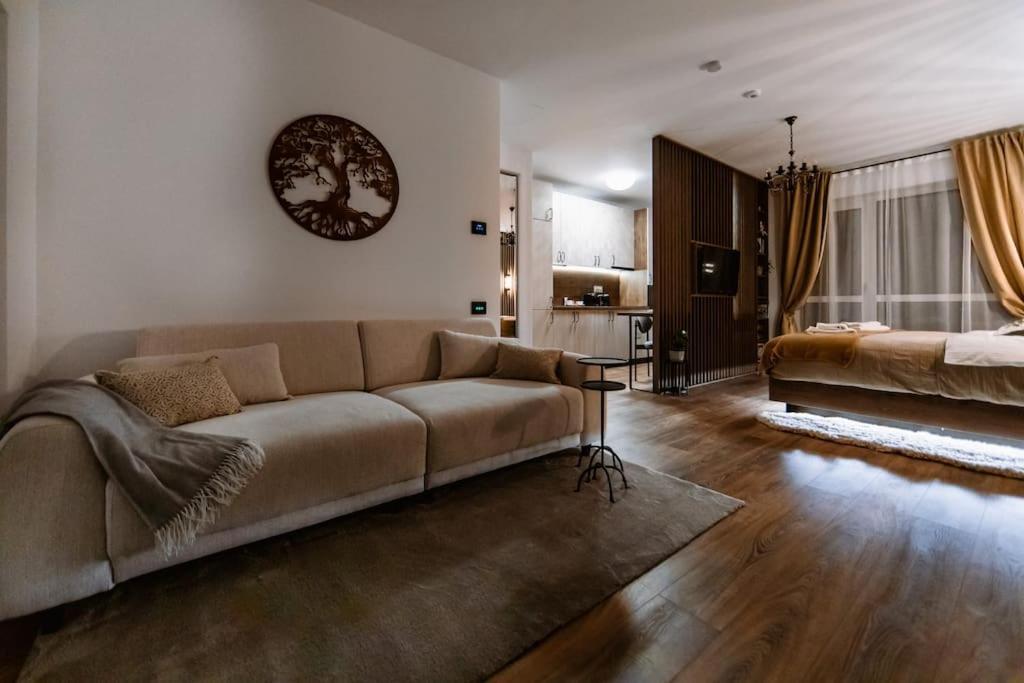 Eliss Studio Σινάια Εξωτερικό φωτογραφία